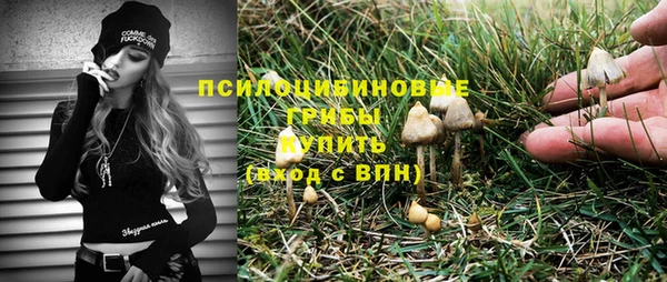 бутират Алзамай
